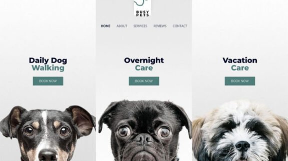 digital-download-store-theme-product-featured-image-8